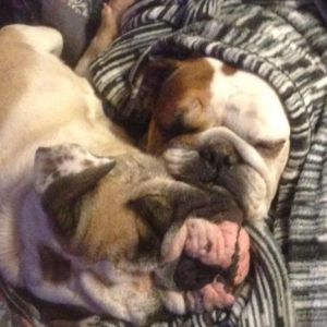 Meet your Posher, James